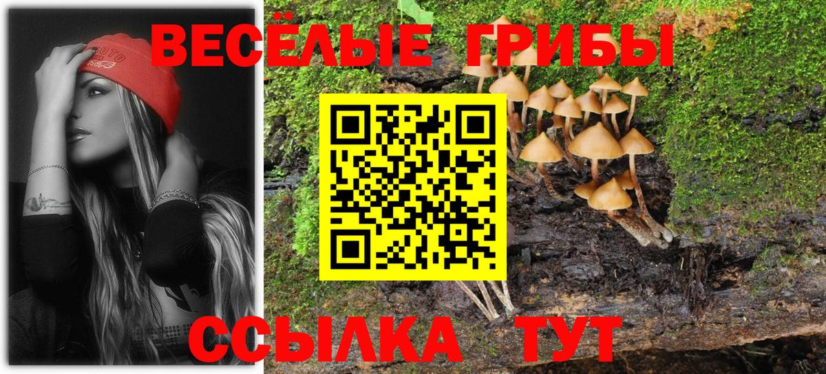 Псилоцибиновые грибы ЛСД Туапсе